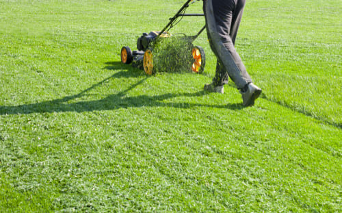 Lawn Cutting and Maintenance Services in Bushbuckridge